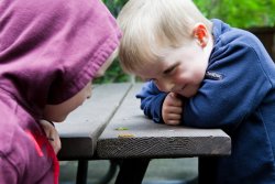 Will and Andrew watch a caterpillar at Northwest Trek