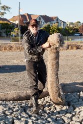 Grandpa Allen summons the snake