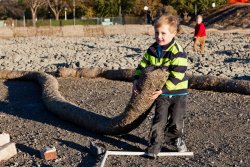 Andrew tames the snake (and loses a shoe)