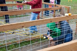 Will launches pumpkins at Craven Farm