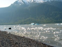 Icebergs aplenty