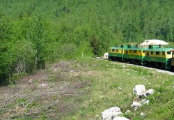 The White Pass engines