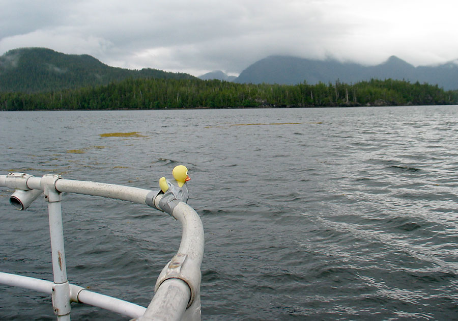 The front of the Sea Spree, our launching pad for kayaking