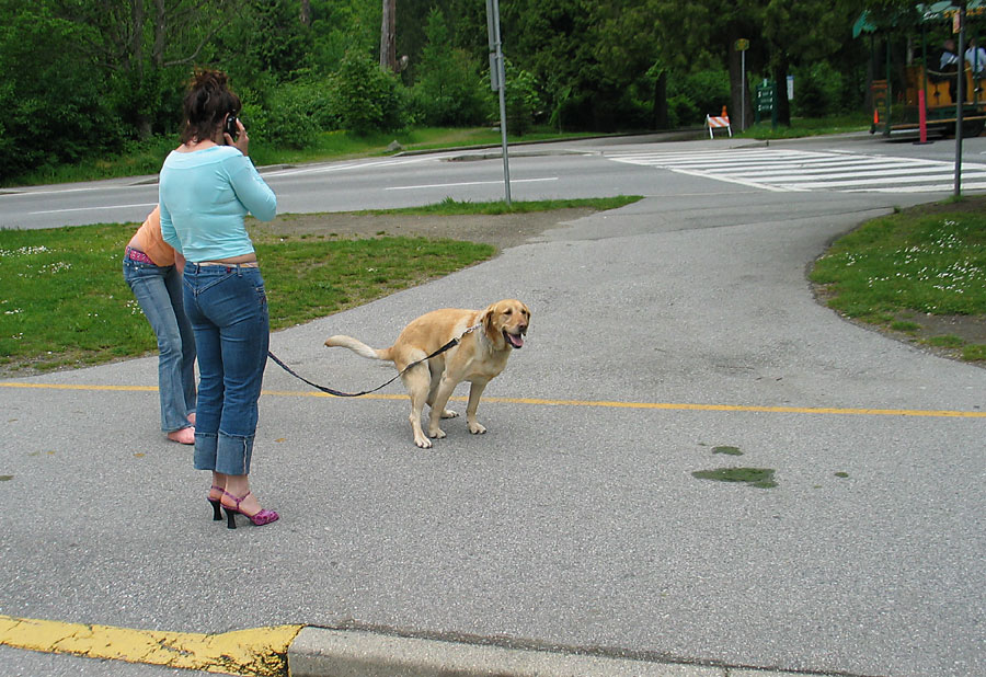 I like to walk my pooping dog while wearing high heels