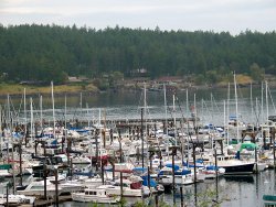 Friday Harbor harbor