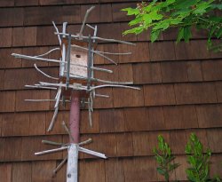 Birdhouse with perches-a-plenty