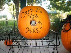 Laughing skull hiding inside this pumpkin