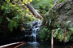 Tiptoe Falls