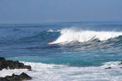 Surfer dude