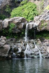 The Road to Hana