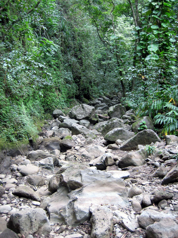 The riverbed we traversed