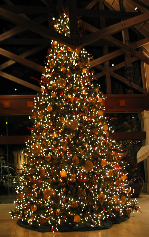 Lobby christmas tree