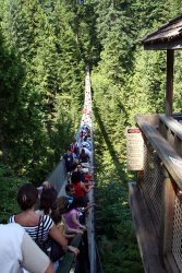 The Capilano Suspension Bridge