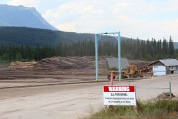 Lumber yard along the rail line