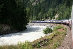 You can see the three Gold Leaf cars at the end of the train