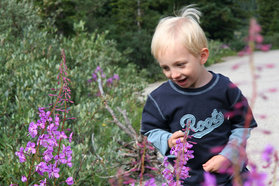 Gabe checking out the flowers