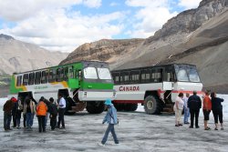 Snowcoaches on the Athabasca Glacier