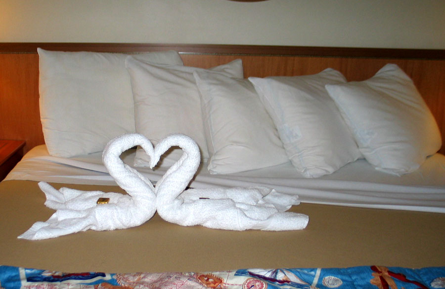 Swan towel animals