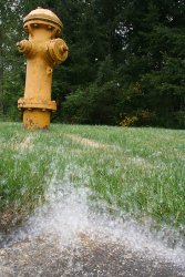 A fire hydrant -- one of the few objects apparently immune to the seeds