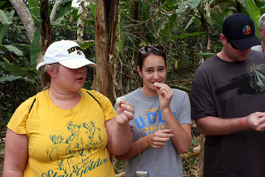 Tori is suspicious of the delicous "guava"