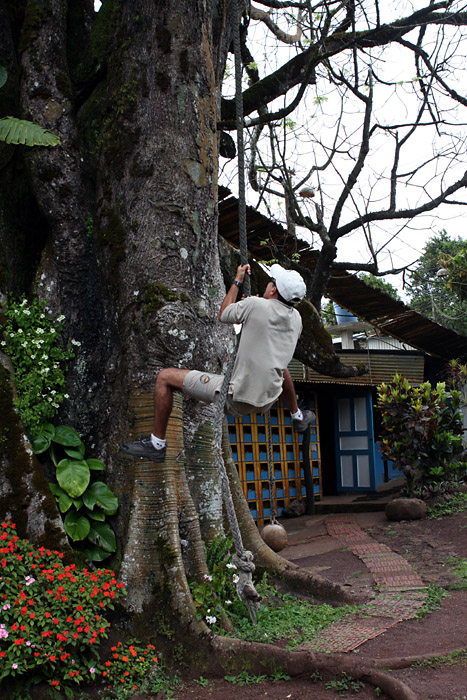 Fernando beats Rick's rope ascent attempt