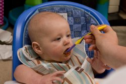 William eating butternut squash