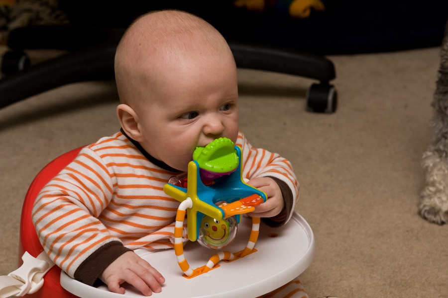 William chews on his toy