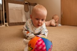 Andrew Chasing His Ball