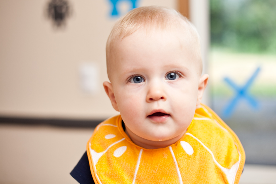 Sir Andrew of the Orange Bib