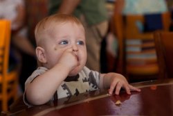 William at Chef Mickey's