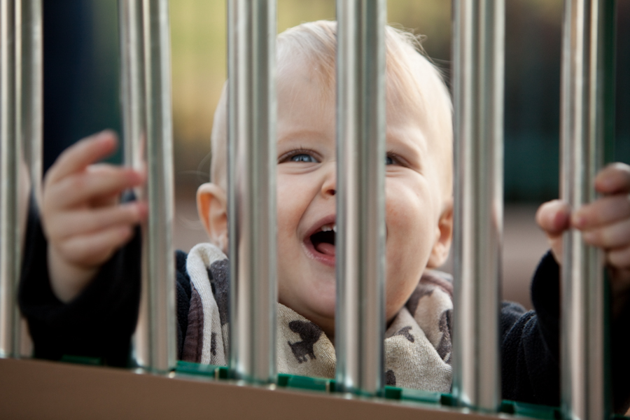 Andrew where he belongs -- behind bars!