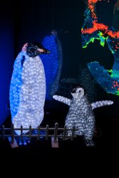 Luminous penguins at the Osaka Aquarium