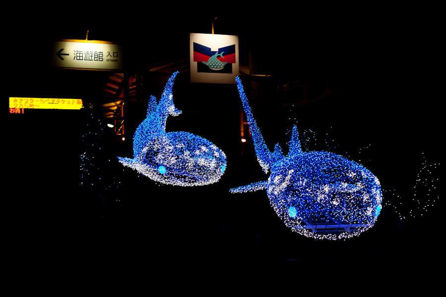 Luminous whale sharks in front of the Osaka Aquarium