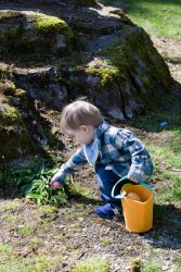 Easter Egg Hunt - Andrew