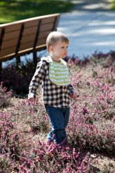 Will taking a stroll through the park