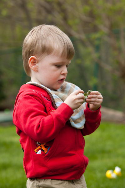 Will figured out how to open the eggs and unwrap the chocolate bunnies