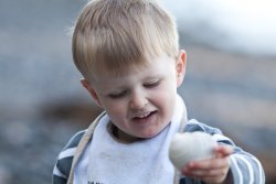 Will found a shell