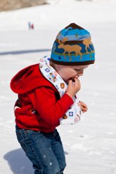 Will devours snow