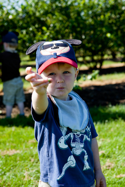 Andrew showing off his green blueberry