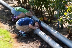 Andrew and Madeleine peering into pipes