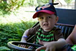 Will driving at Remlinger Farms