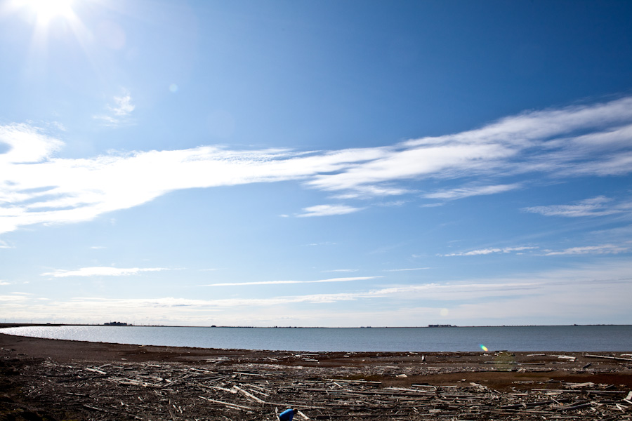 Apparently weird currents dump all these logs and silt into this little bay, even though there are no trees... anywhere.