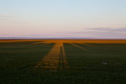 Tundra Shadows - 1:25am in Deadhorse, Alaska