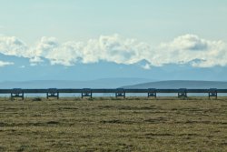 The Trans Alaska Pipeline