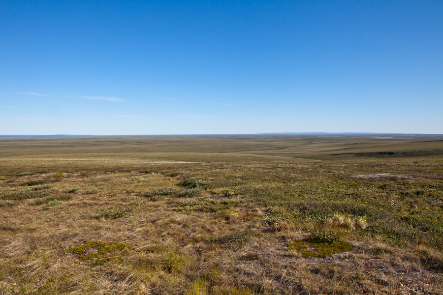 Arctic Tundra from a hill