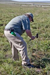 Tour guide Mike hammers rebar into the ground to see how down the permafrost layer is