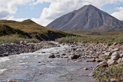 Snowmelt stream that drains into Galbraith Lake