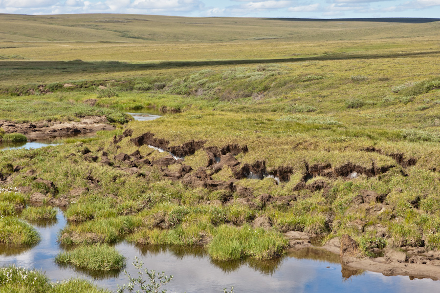 Another peek at the permafrost ice near Galbraith Lake