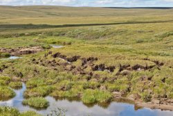 Another peek at the permafrost ice near Galbraith Lake