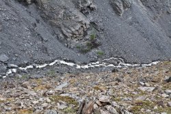 Snowmelt creek at the Atigun Pass, Alaska